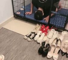 【安静大大】母女S耳光/踩踏/舔鞋【三视角版】 bf19913