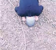 【长沙乂乂】户外遛狗跪舔长靴 JS240308-8