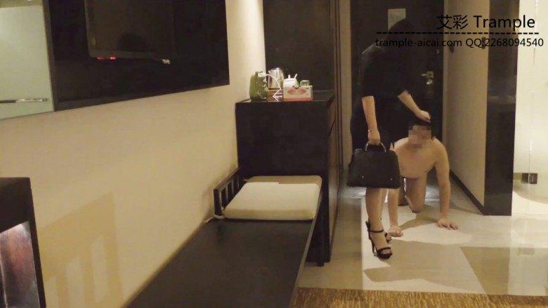 小刚流浪记第10集 变成了深圳贵族公主的狗 上集