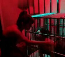 【莉莉丝】囚禁绿帽狗两夫妻【双视角版】 bf21920