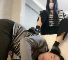 【桃幼幼】狗狗的圈养生活 bf24712