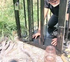 【沅芷大人】关狗笼圈养犬化-手铐捆绑/高跟踩踏 bf28263