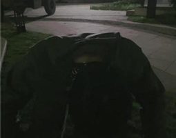 【清禾】小区楼下遛狗犬化男友 JS23110430