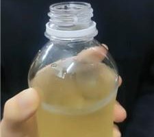 【奇了怪了】跪舔运动鞋白袜/跪求圣水 JS240519-17