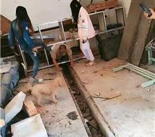 【圈养基地】双S-真刑-户外捆绑训犬【双视角完整版】JS241019-5