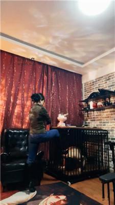 【冷颜】狗笼囚禁/长靴捂了一天的船袜气味辱/裸足狂舔 JS241226-18