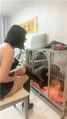 【伊兮夫妻】囚禁狗笼/强制圣水/暴力虐打踢踹 JS250112-61