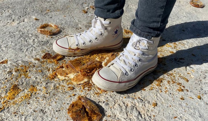 经典匡威帆布鞋户外踩一堆面包和老婆饼 YC-250227-2