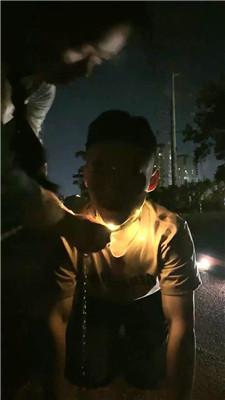 【薇薇】狗链户外遛狗犬化 bf51770